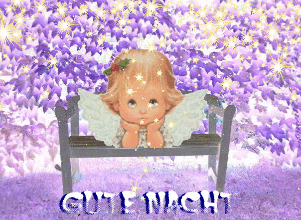 Gute Nacht (Good Night in German) Bye