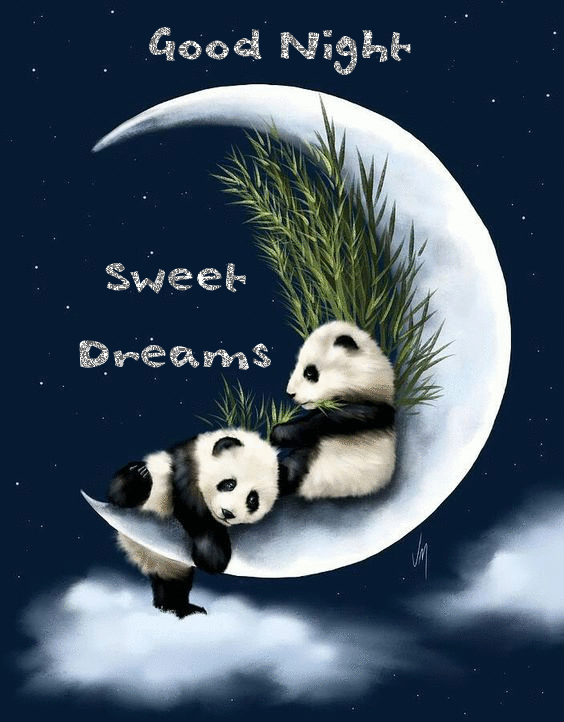 Good Night Sweet Dreams Cute Panda Bears Bye