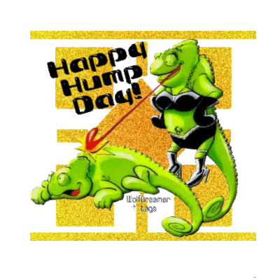 Happy Hump Day :: Days - Hump Day :: MyNiceProfile.com