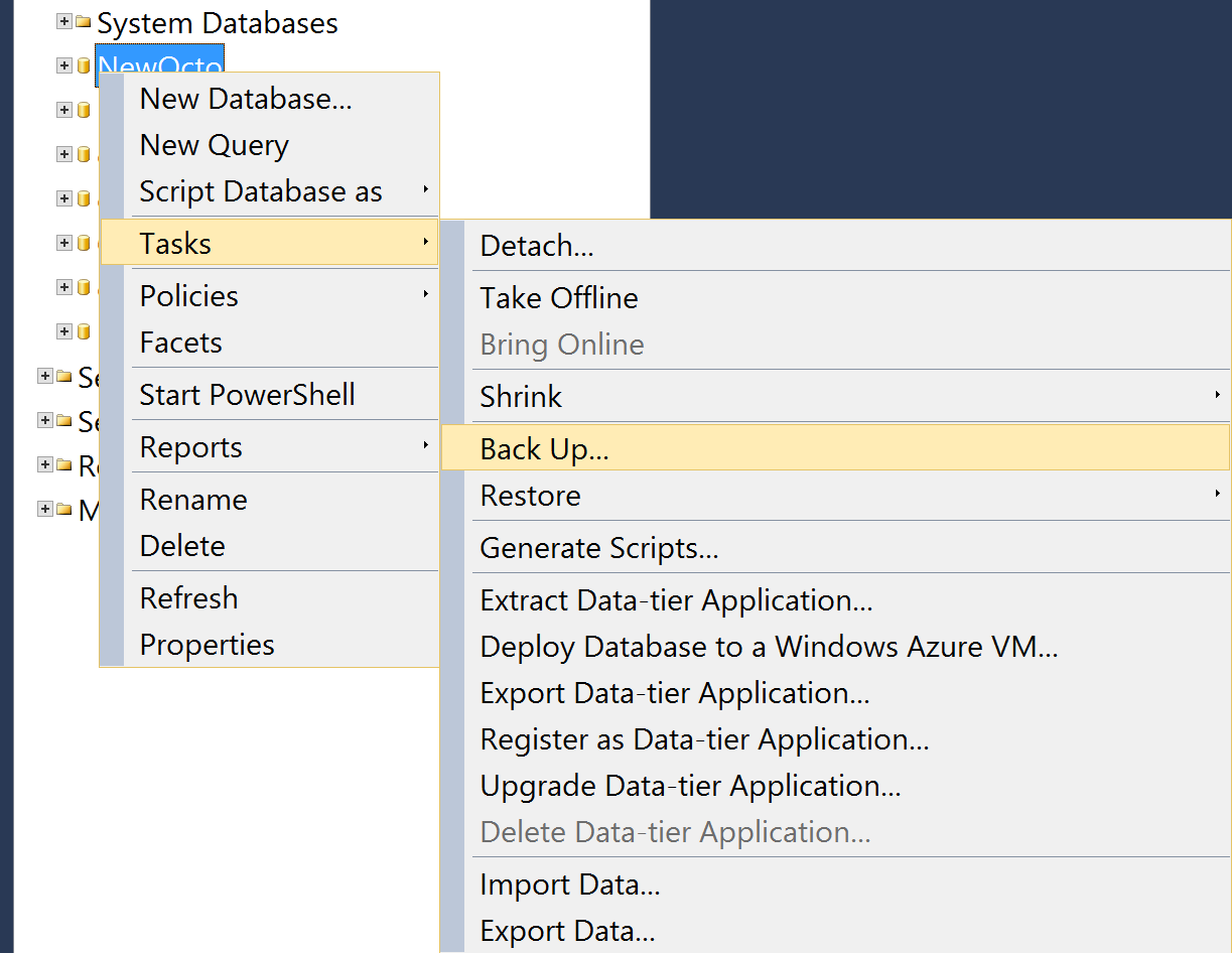 How to get a database backup and encrypt your Master Key Octopus Deploy