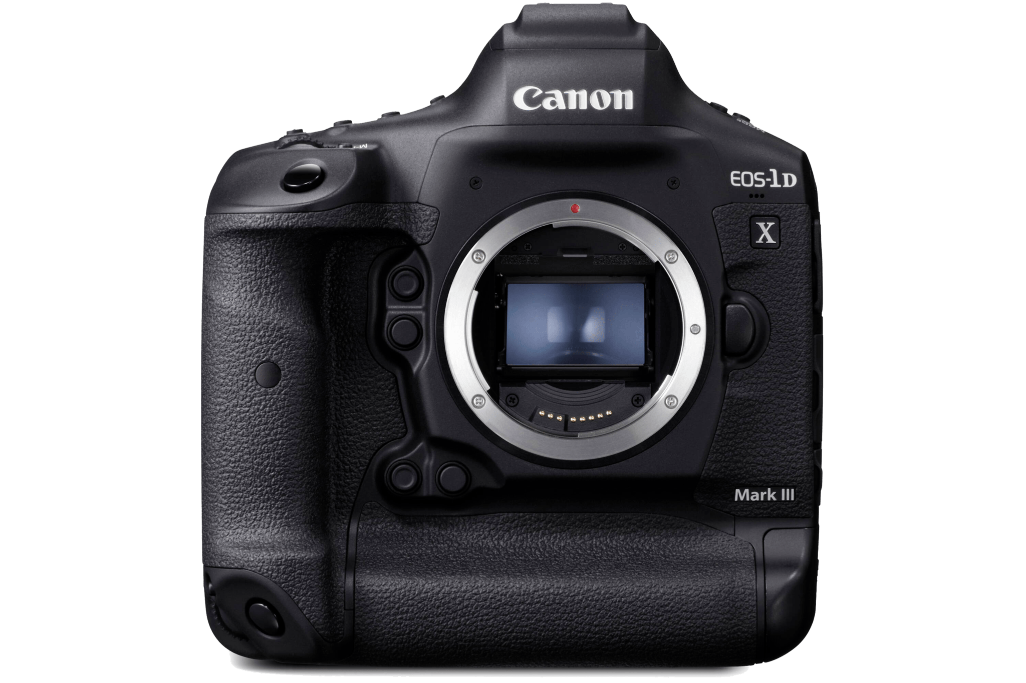 Best Cameras for Wildlife Photography in 2021