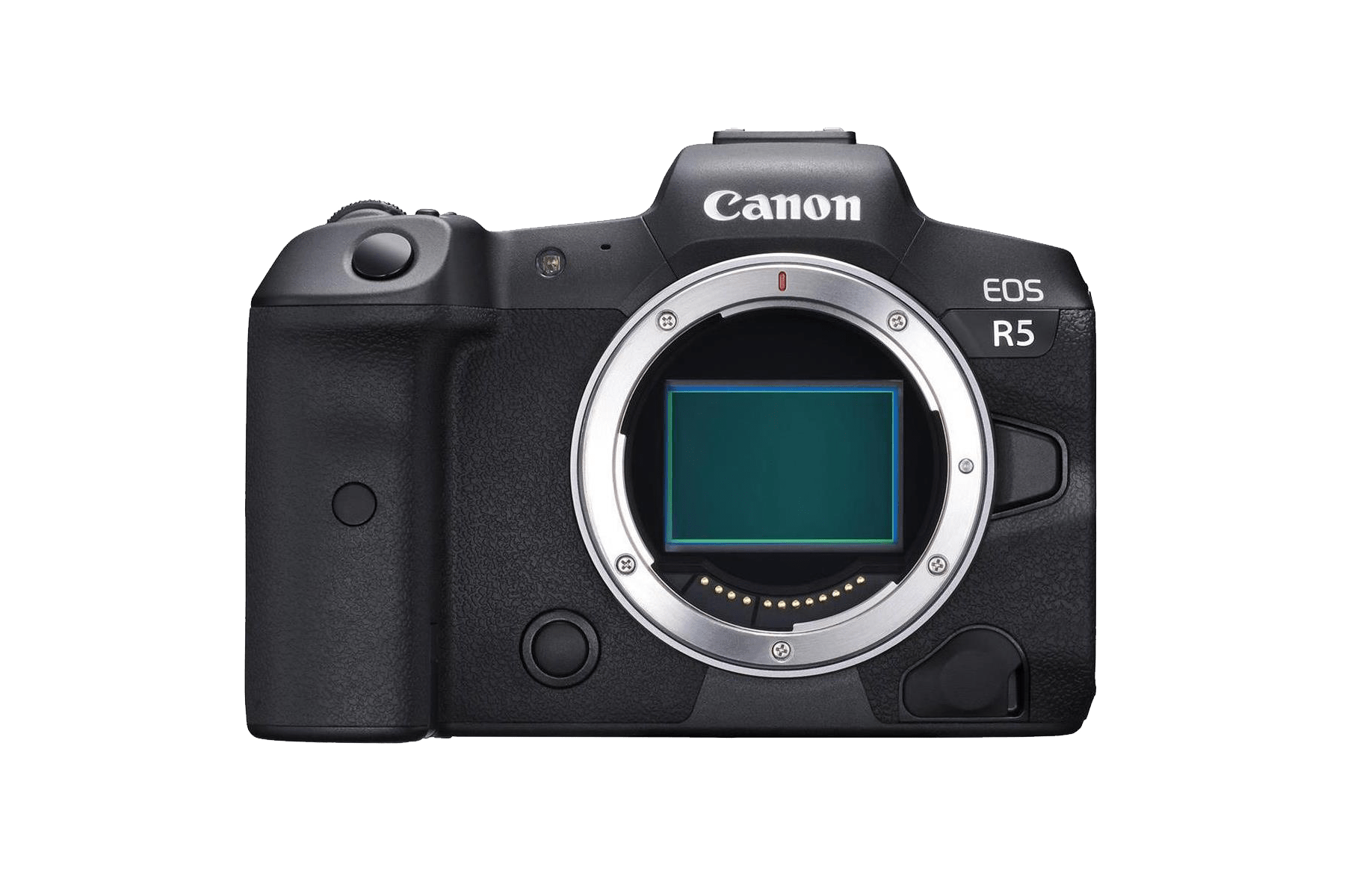 Best Cameras for Wildlife Photography in 2021