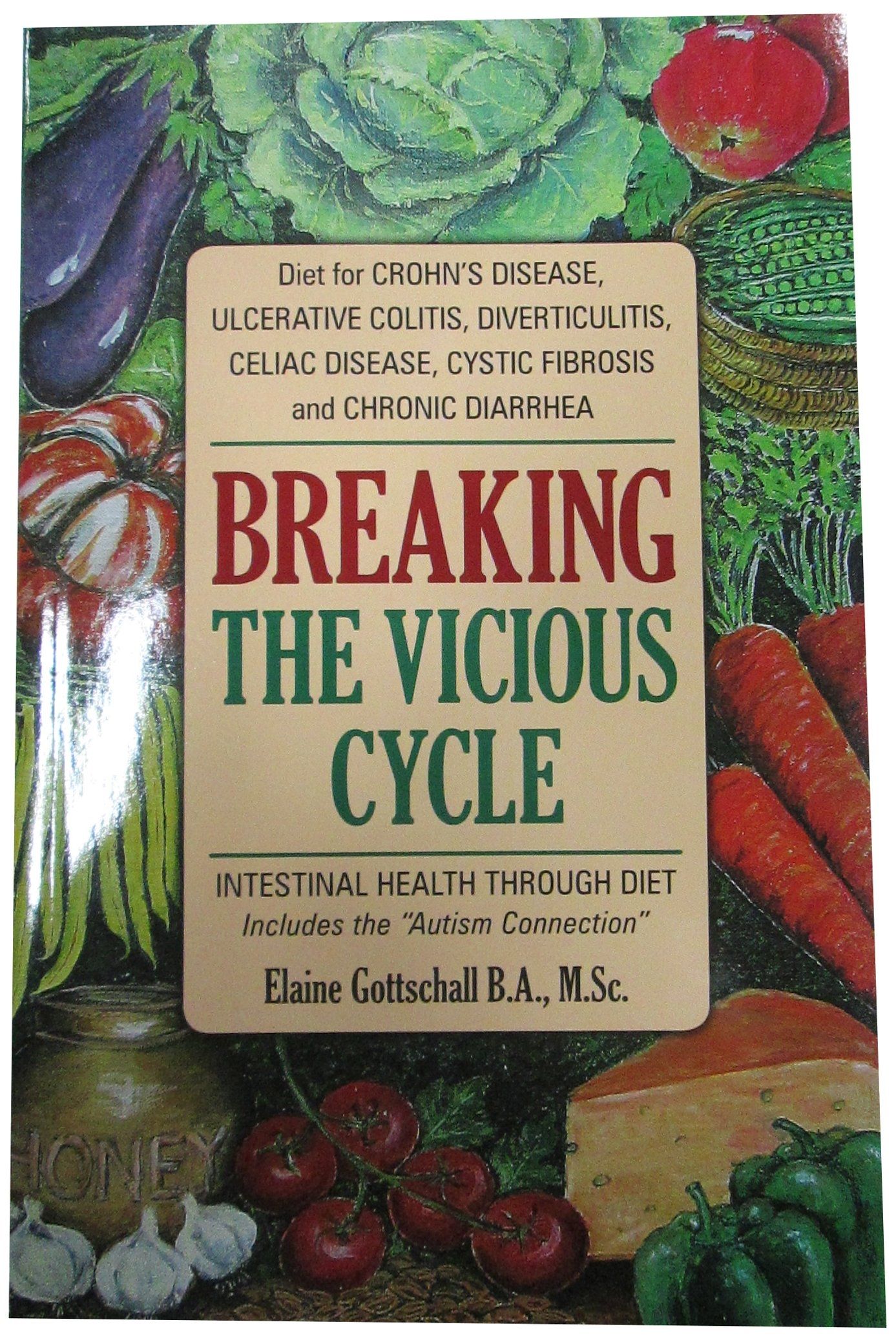 Breaking the Vicious Cycle by Elaine Gottschall