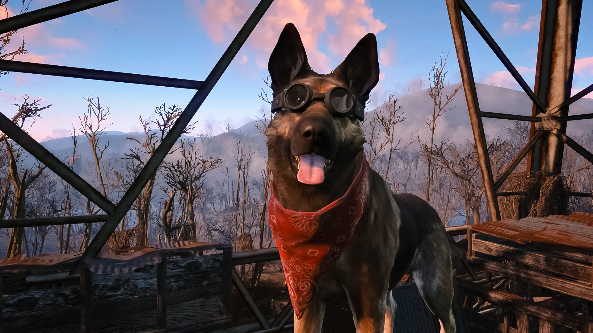 fallout dog
