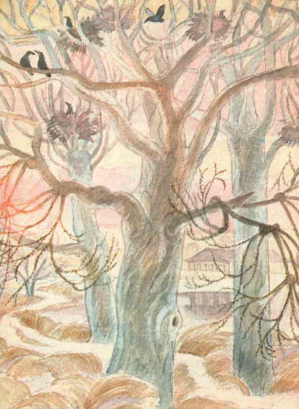 p0003 — Postimages