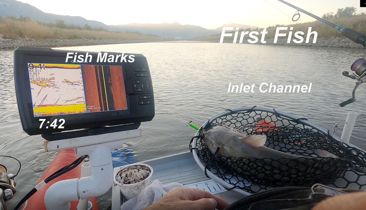 CHANNEL CAT — Postimages