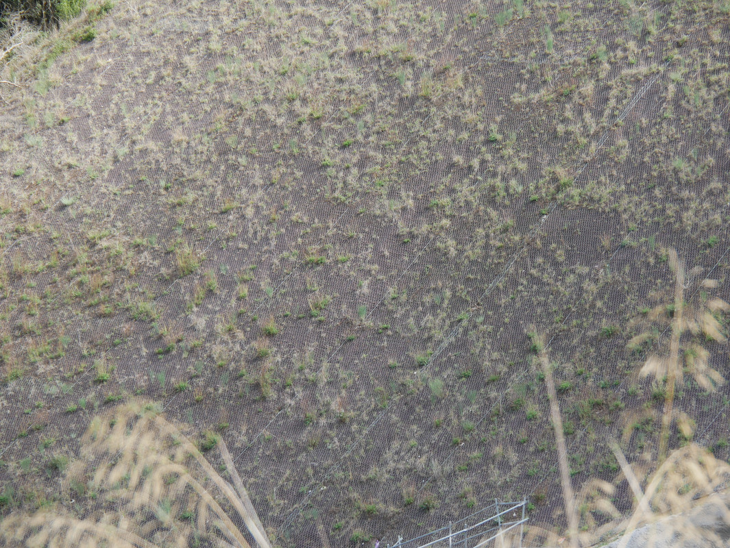 P1020249 — Postimages