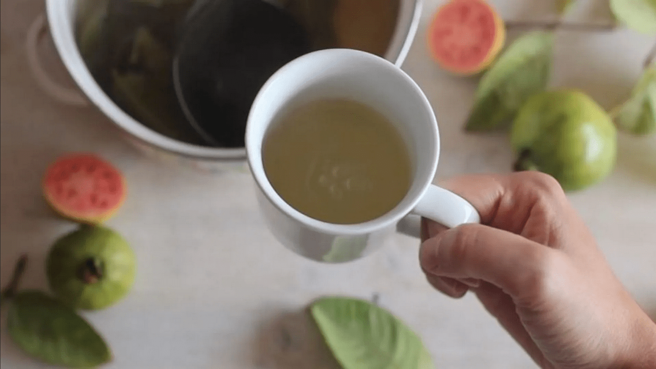 ¿Para qué sirve la infusión de hoja de guayaba y canela? Imperio Noticias