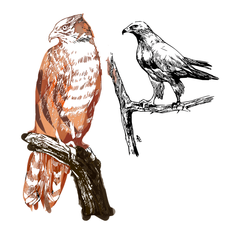 P4prik4's Artwork Artwork Showcase MyPaint Community