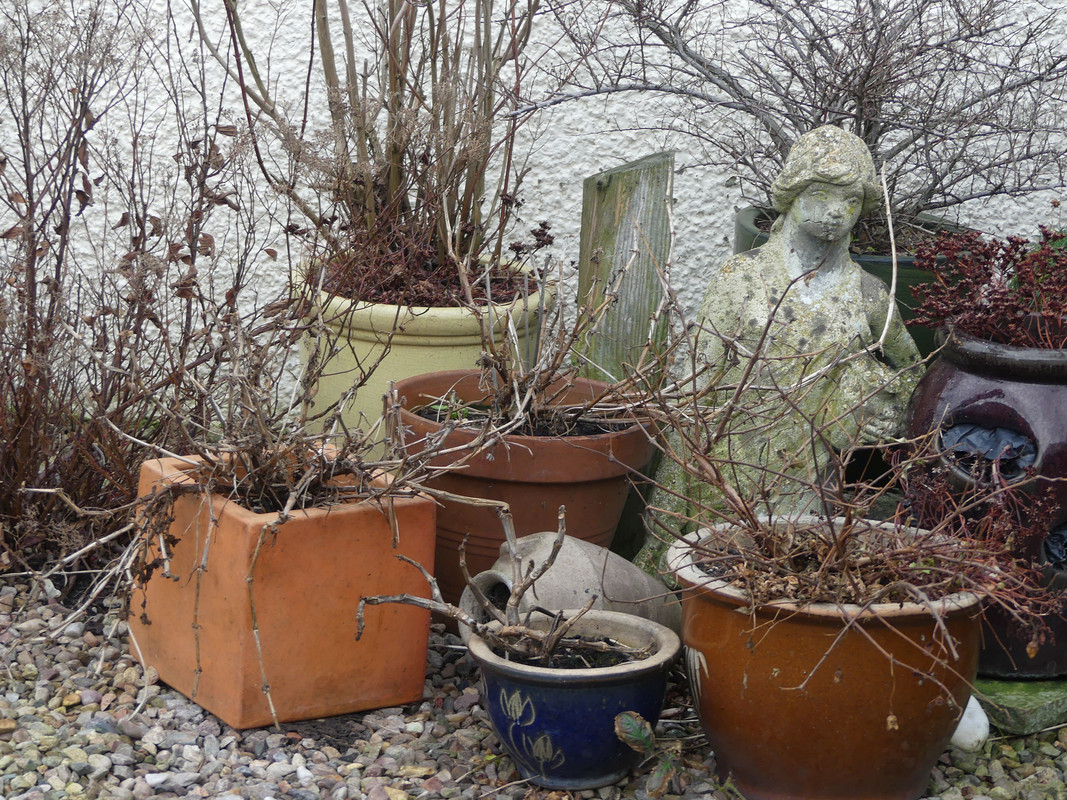 WINTER POTS — Postimages