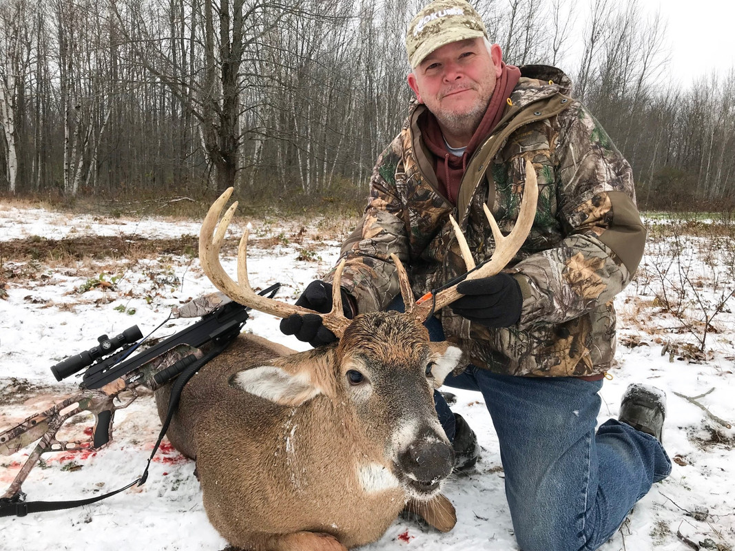 Excalibur Bolt cutter Crossbow Nation