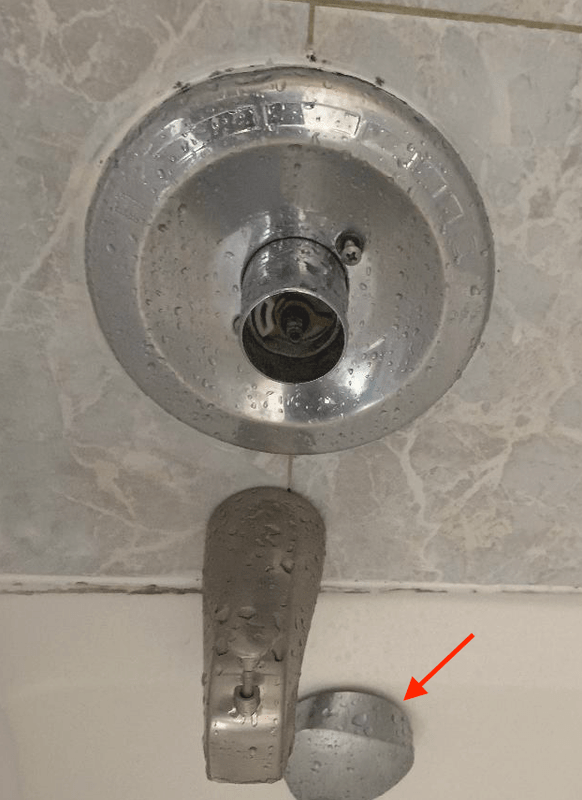 Which bathtub snake? Community Forums