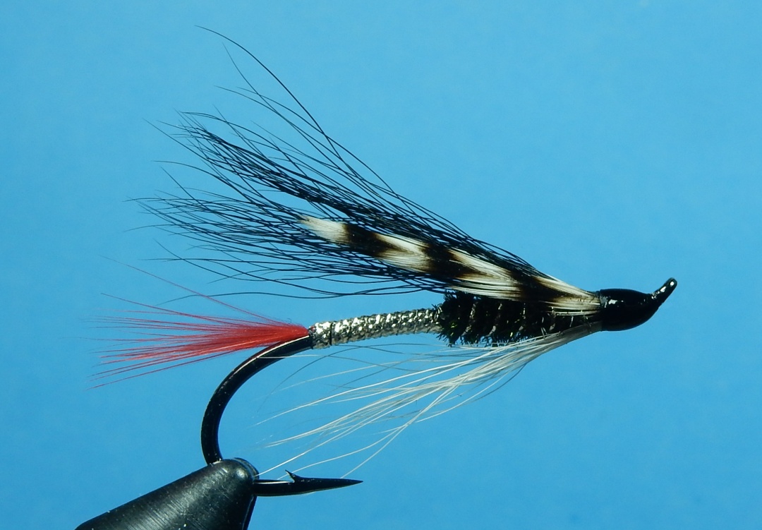 Adam's Rib Fly Tying Maine Fly Fish