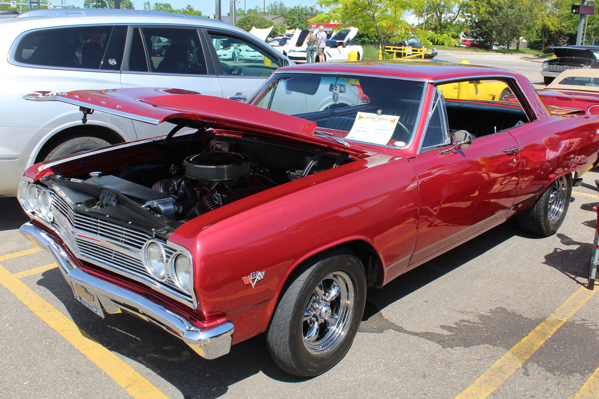 Birch Run MI 2019 Gardening Forums