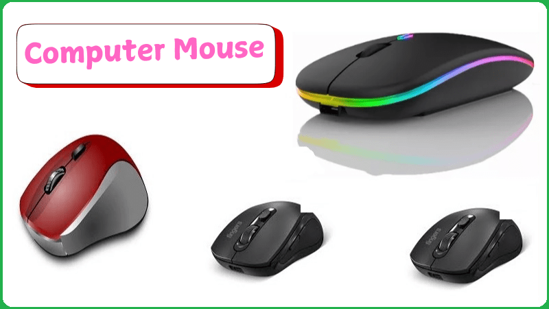 computer mouse