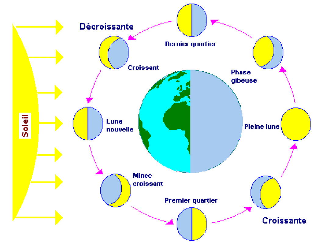 La Lune Sciences Twinkl