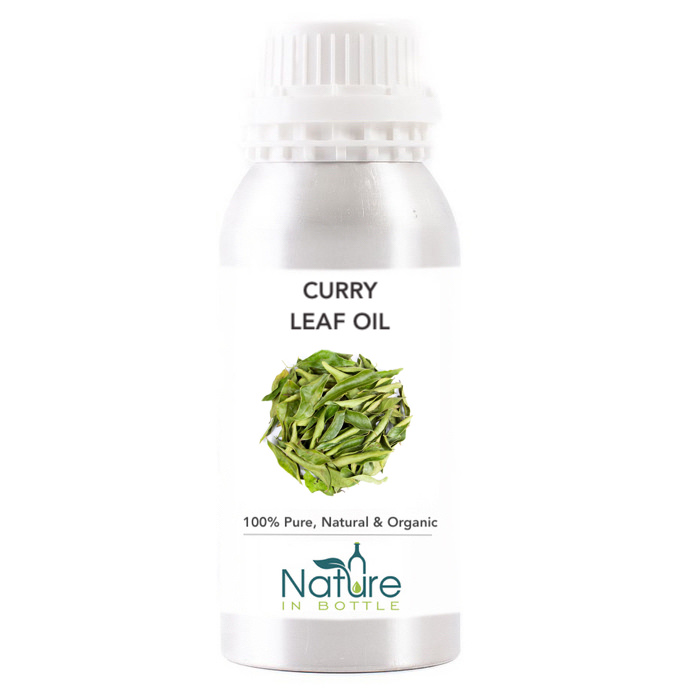 Curry Leaf Essential Oil Organic Murraya Koenigii India