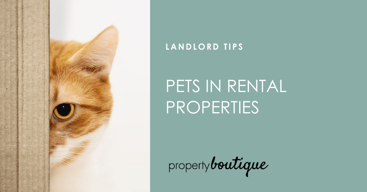 Pets in Rental Properties Property Boutique
