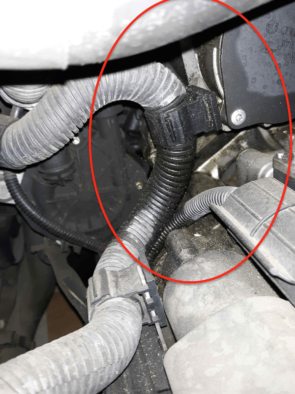 2007 Rabbit - multiple oil leaks | VW Vortex - Volkswagen Forum