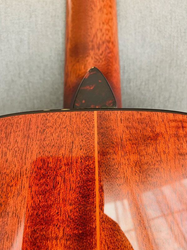 NGD Eastman E1000 The Acoustic Guitar Forum