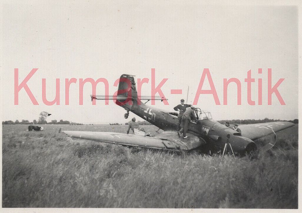 MD377 — Postimages