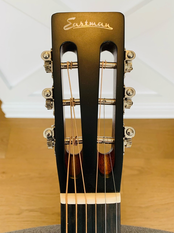 NGD Eastman E1000 The Acoustic Guitar Forum