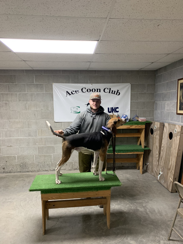 Ace Coon Club RQE Win Pic — Postimages