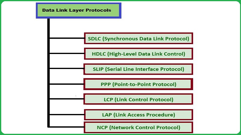 Data Link Layer in OSI Model: Protocols, Examples, Functions, & Devices
