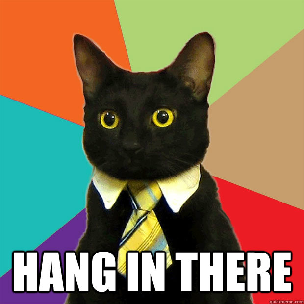 Hang In There Business Cat quickmeme