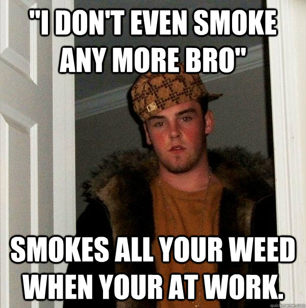 i dont even smoke any more bro smokes all your weed when Scumbag Steve