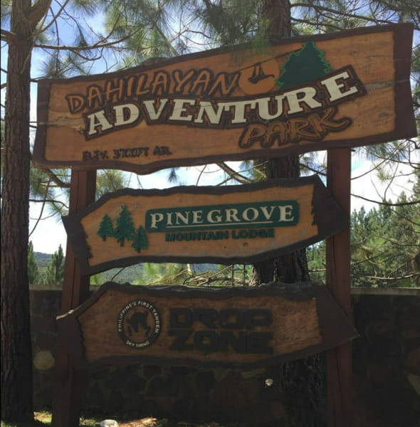 Create a summer camp Quiz Quotev