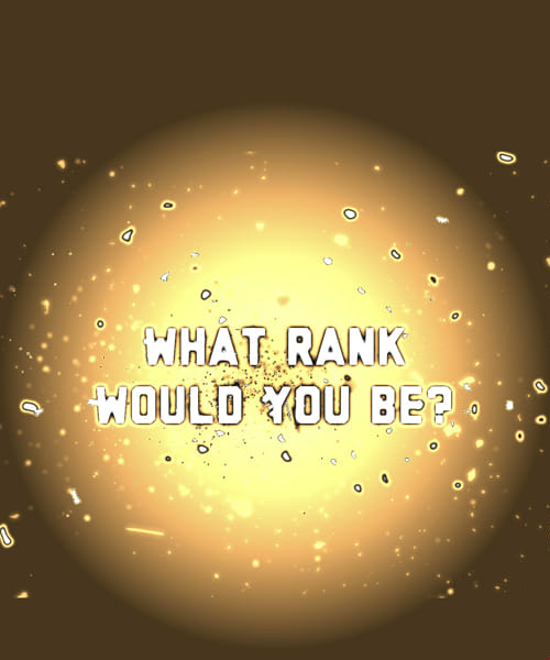 What is your rank in warrior cats Quiz