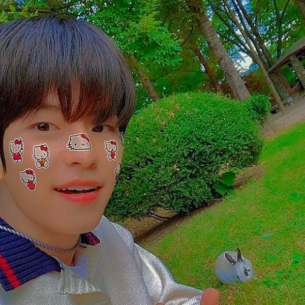 flower petals Quiz Quotev