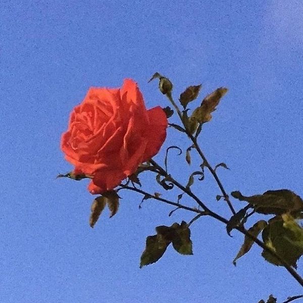 What is your 'aesthetic'? Quiz Quotev