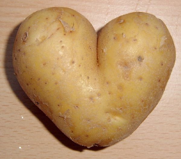 Are you a potato? - Quiz | Quotev