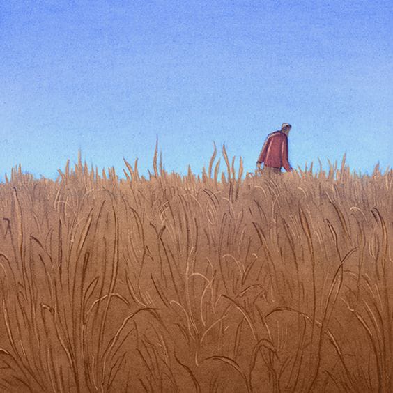 Dystopian America Why are you a Wanderer? Quiz Quotev