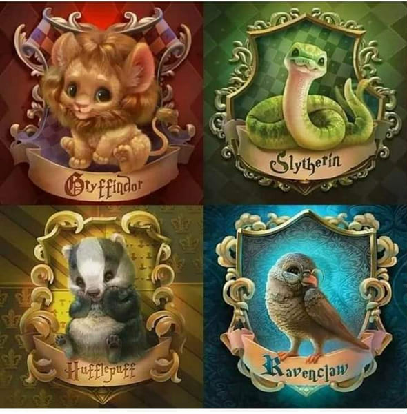 Hogwarts house quiz Quiz