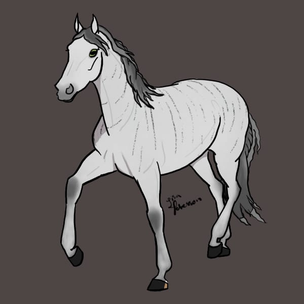 What Horse Breeds Are These? Test Quotev