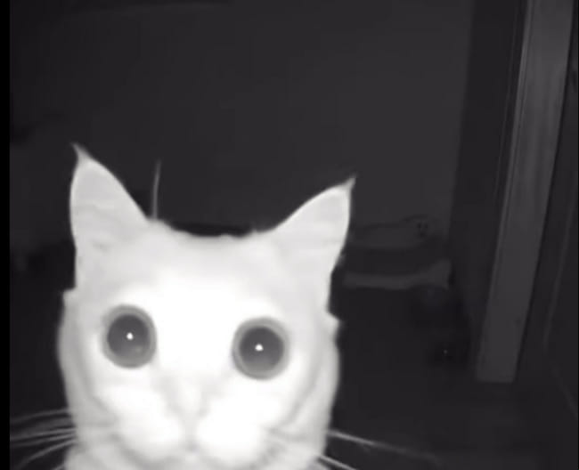 Are you a tomboy? Quiz Quotev