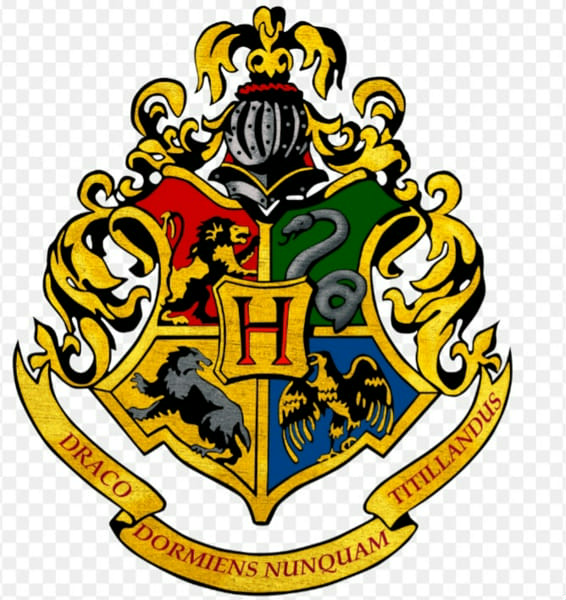 What is your hogwarts house Quiz Quotev