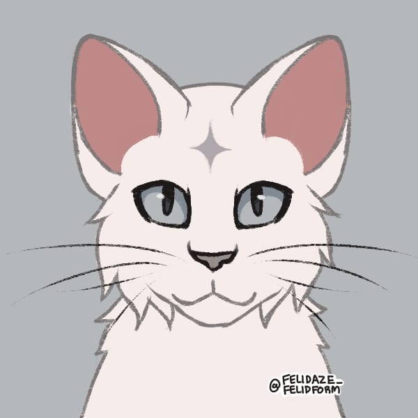 Warrior Cats Clan Rank Quiz Quotev