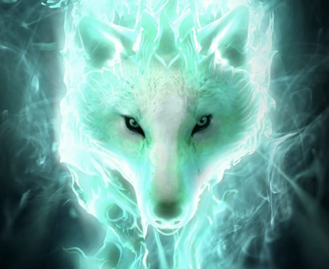 What is your spirit animal? Quiz Quotev