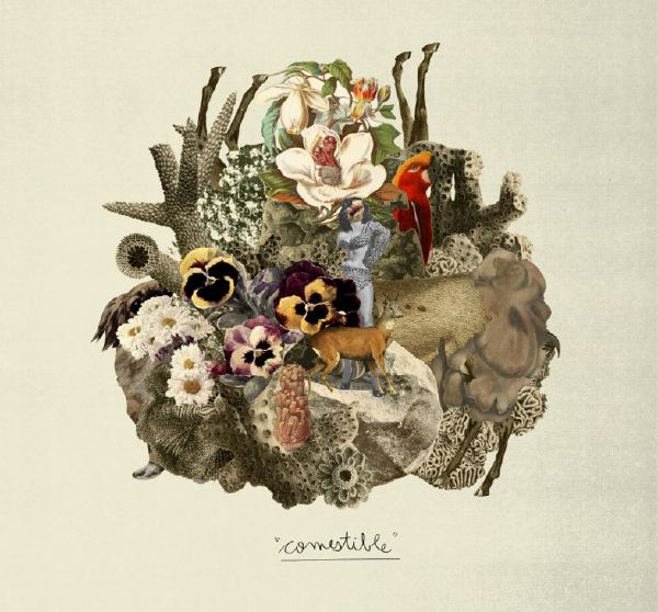 What animal are you? Quiz Quotev