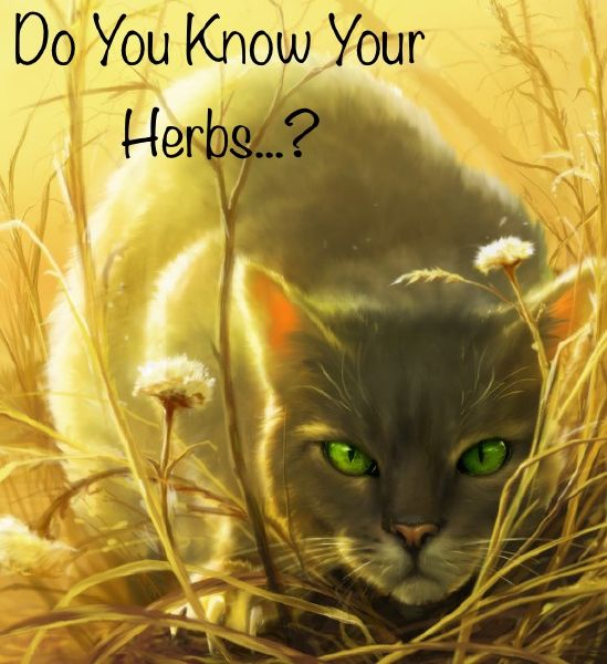 Do You Know Your Warrior Cats Herbs? Test Quotev