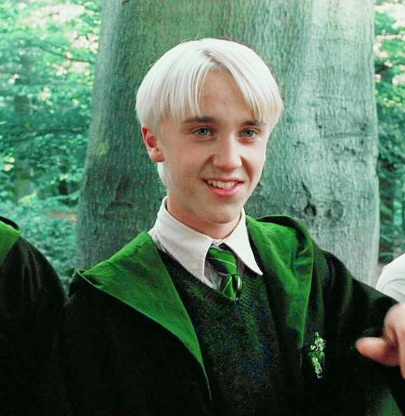 What does Draco Malfoy say about you? Quiz Quotev