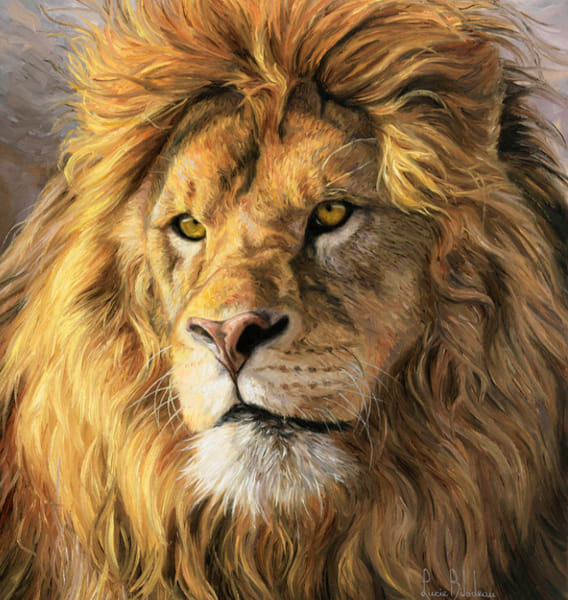 What animal can you shapeshift into? Quiz Quotev