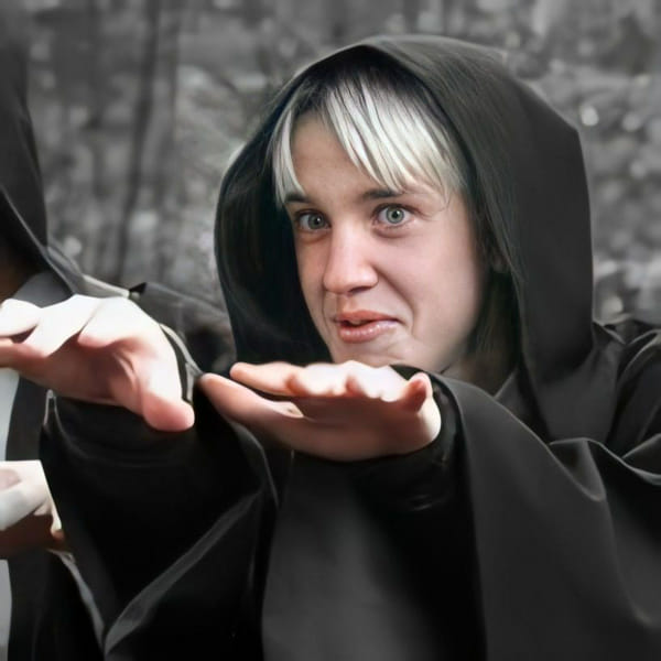 What are you to draco malfoy Quiz Quotev