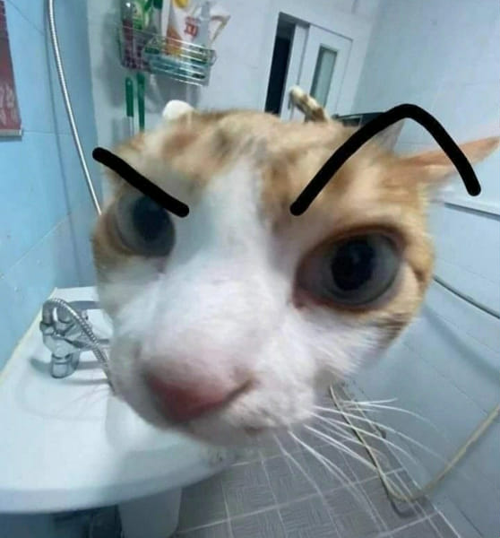 I'll rate your crush Quiz Quotev