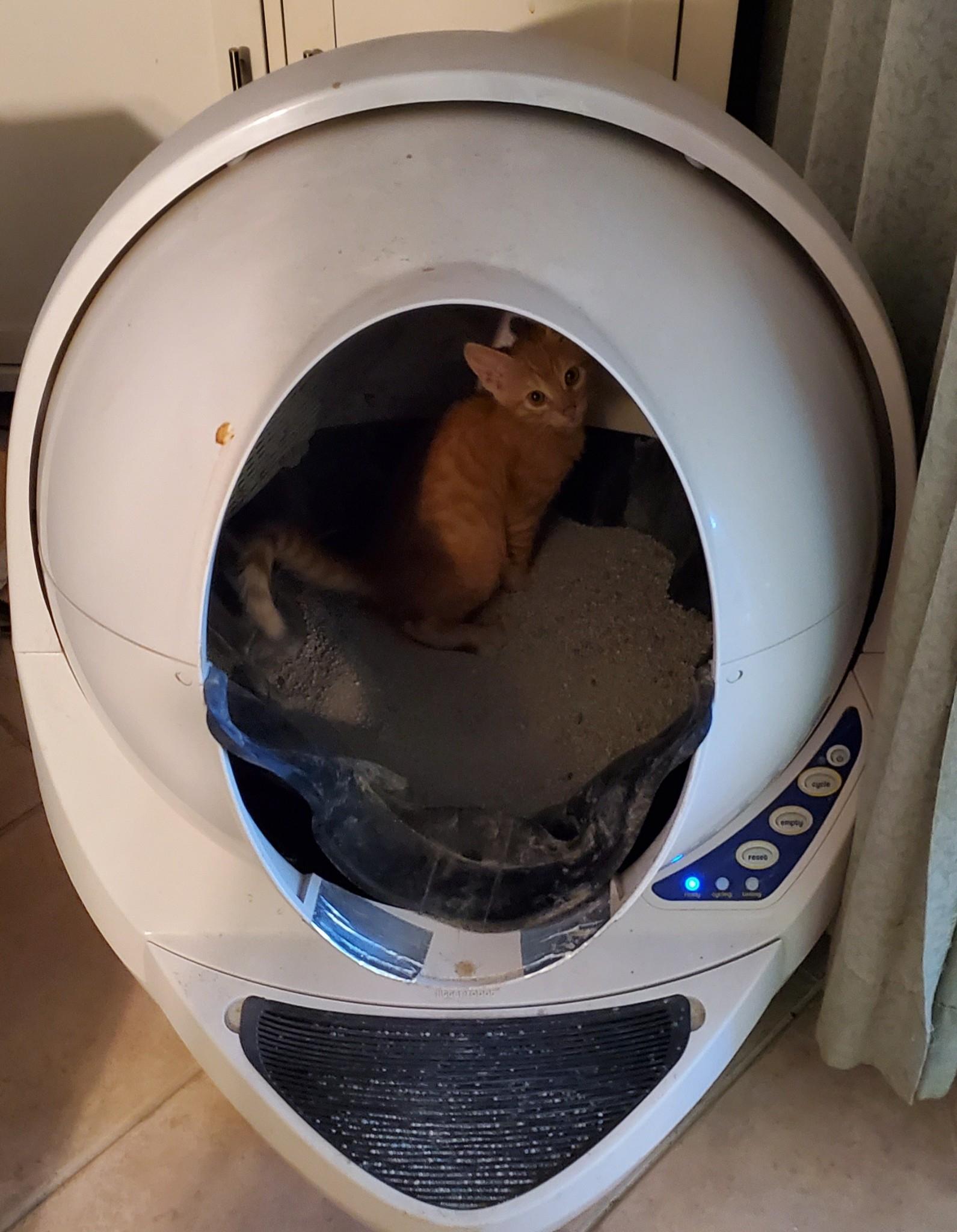 Litter-Robot