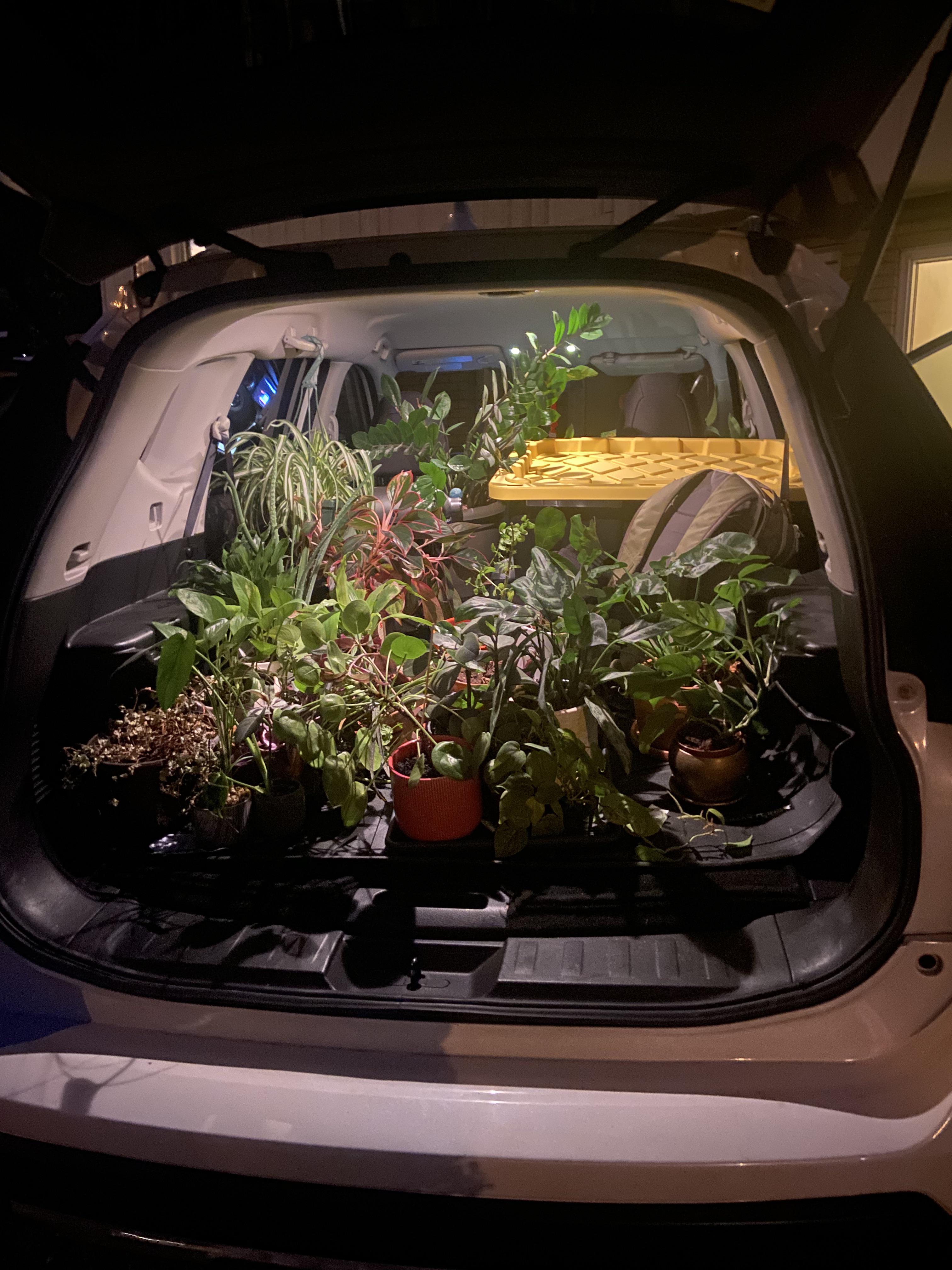 It’s all fun and games until you have to make multiple car trips with